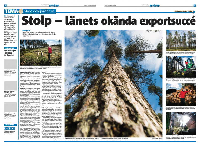 Norrbottens Affärer, skogsindustri