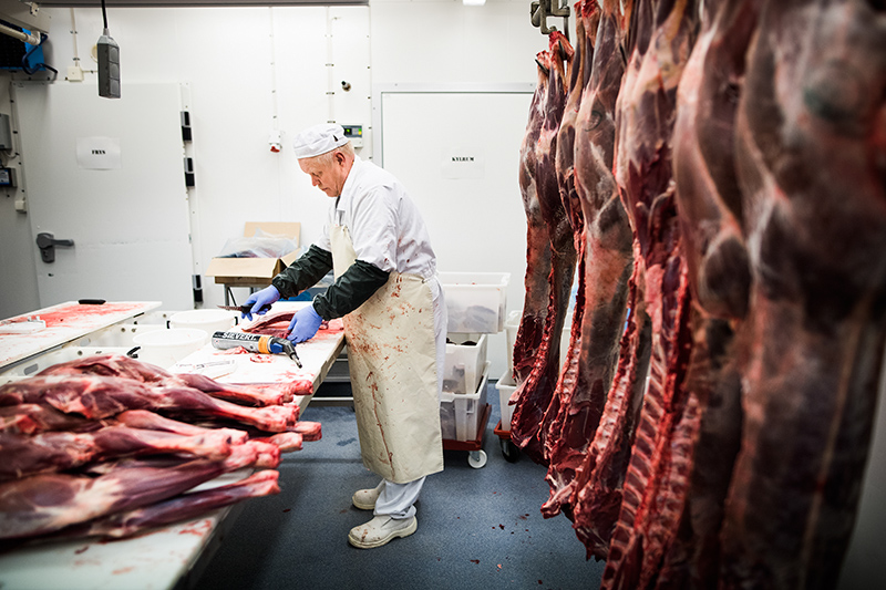 Roger Niemi, Tornedalens Renprodukter